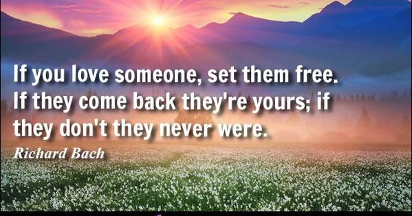 If You Love Someone Set Them Free Quote
 If you love someone set them free If they e back they