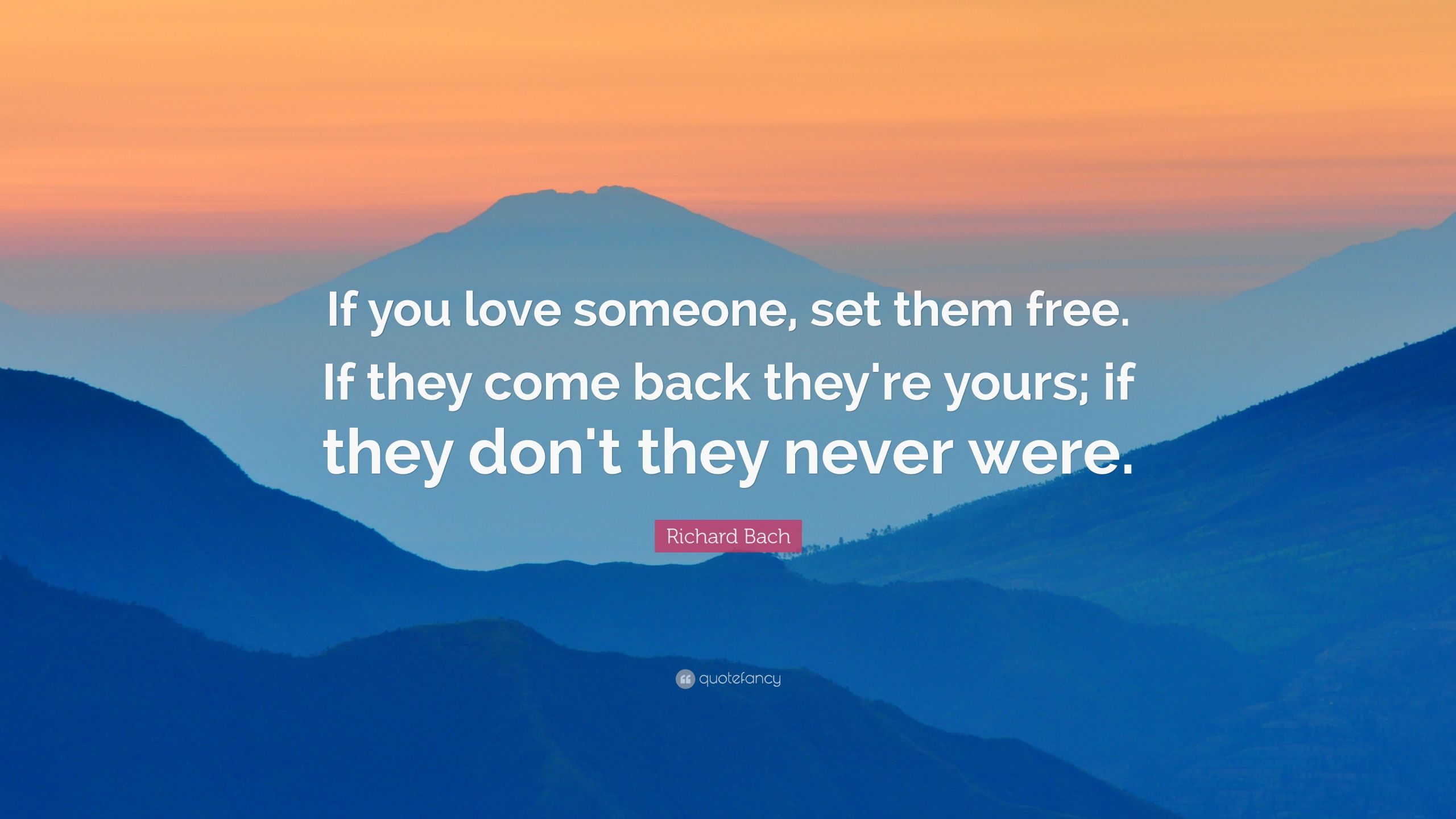 If You Love Someone Set Them Free Quote
 Richard Bach Quote “If you love someone set them free