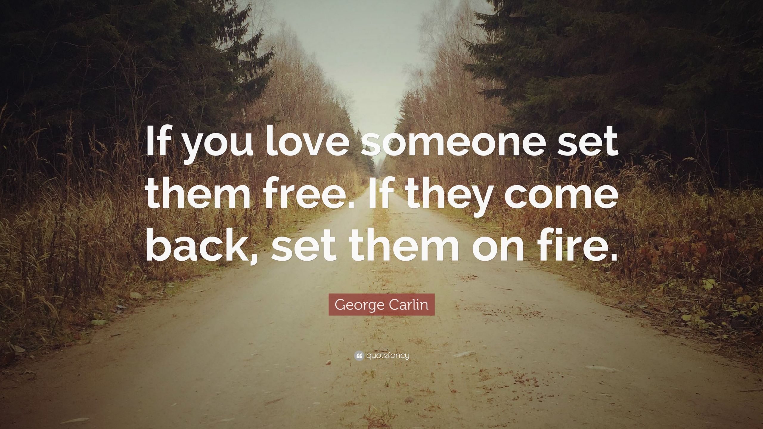 If You Love Someone Set Them Free Quote
 George Carlin Quotes 100 wallpapers Quotefancy