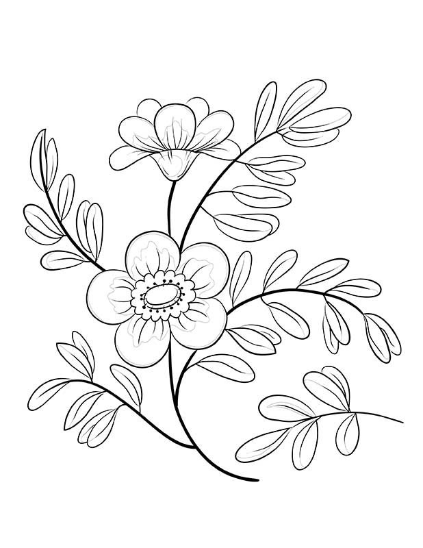 Interactive Coloring Pages For Adults
 Interactive For Adults Coloring Pages