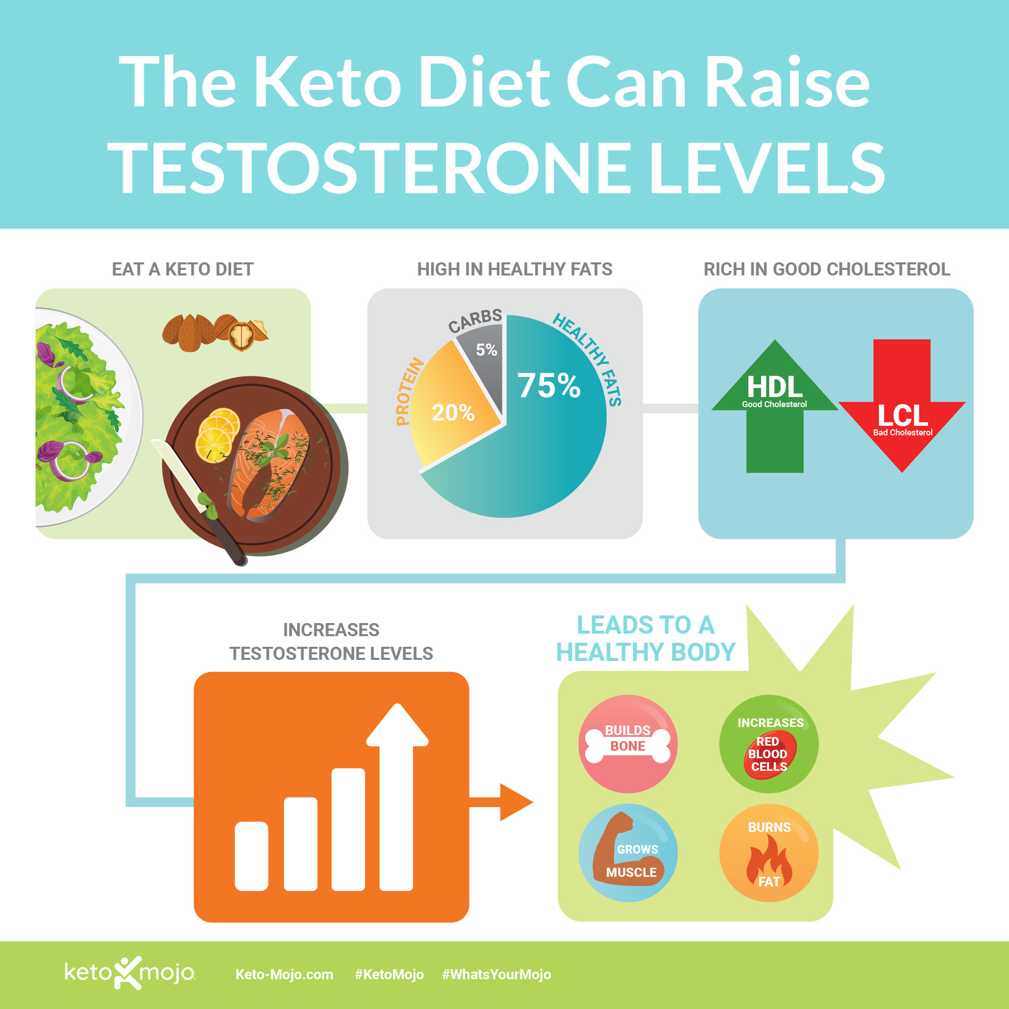 Keto Diet Debunked
 How Does the Keto Diet Affect Testosterone