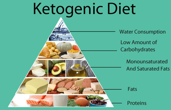 Keto Diet Definition
 Ketogenesis Definition Pathway Diet Synthesis Ketone