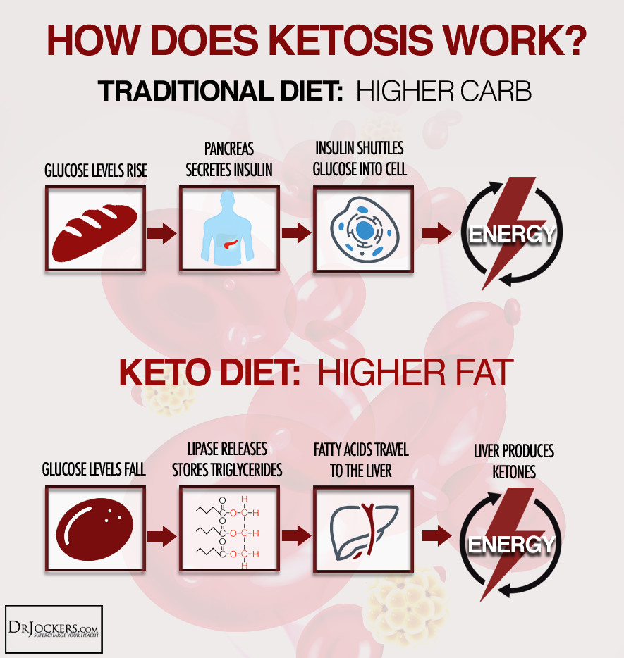 Keto Diet Tips
 10 Critical Ketogenic Diet Tips For Best Results