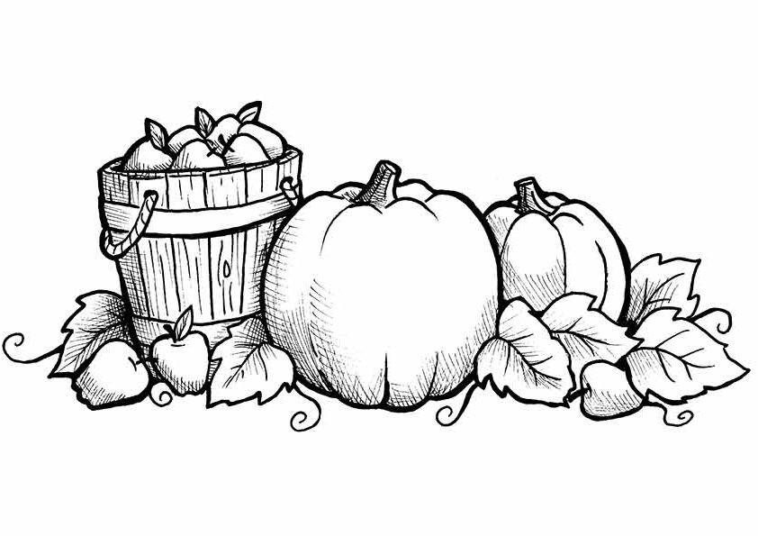 Kids Coloring Pages Fall
 Free Printable Fall Coloring Pages for Kids Best
