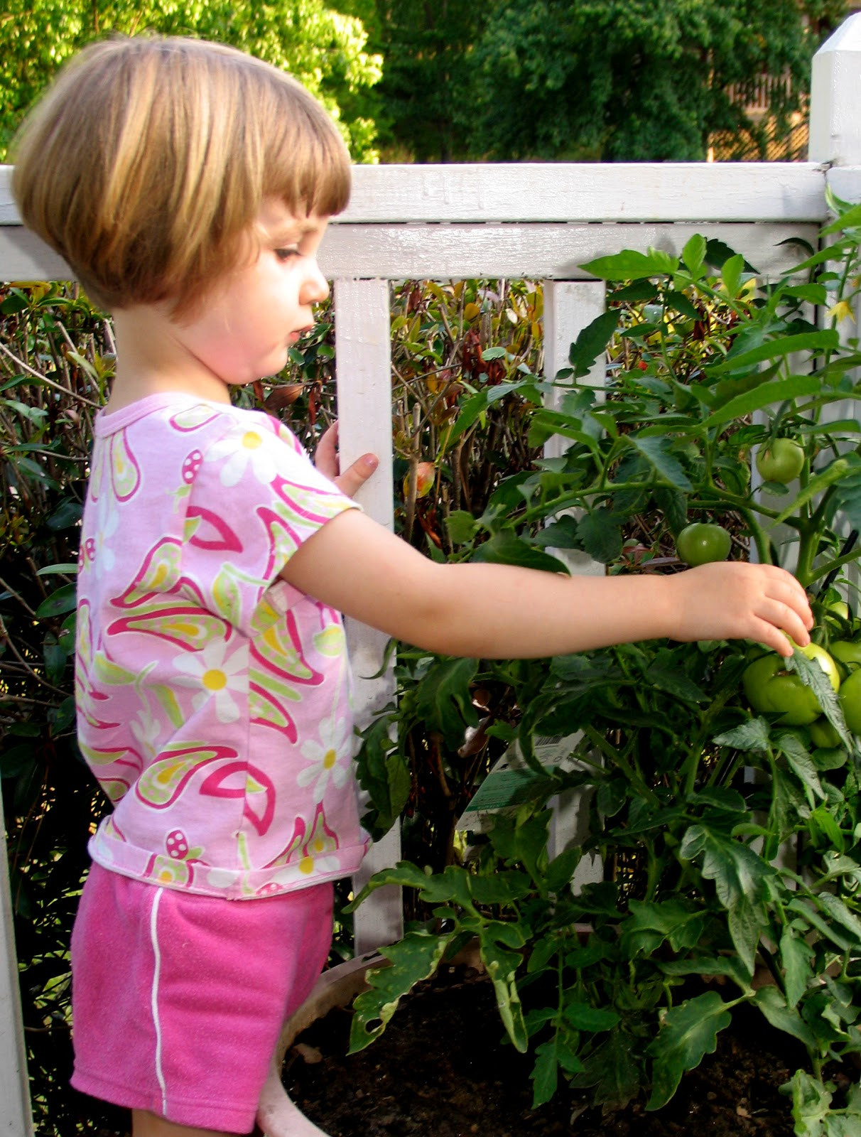 Kids Indoor Garden
 Indoor Gardening With Kids