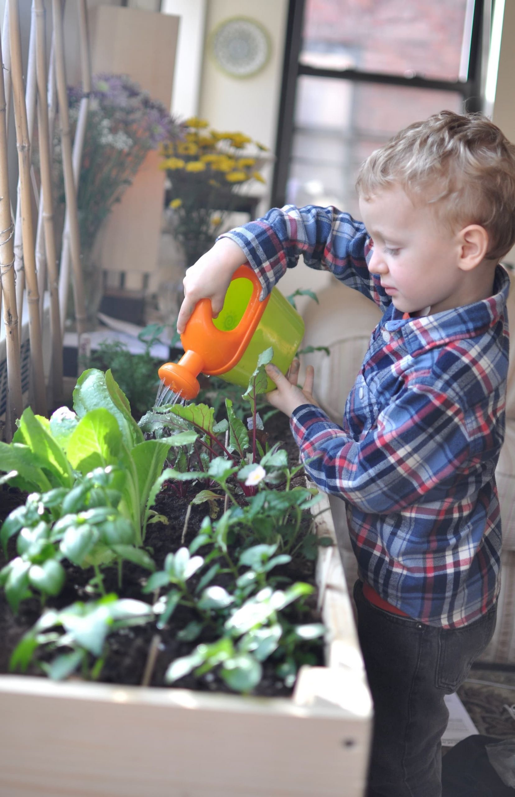 Kids Indoor Garden
 Indoor Gardening for City Kids