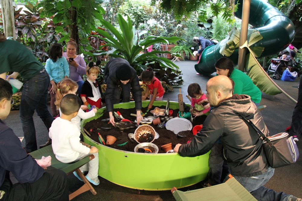 Kids Indoor Garden
 e on in and feel like you’re outside again in the