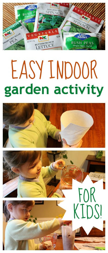 Kids Indoor Garden
 Easy Kids Garden Activity