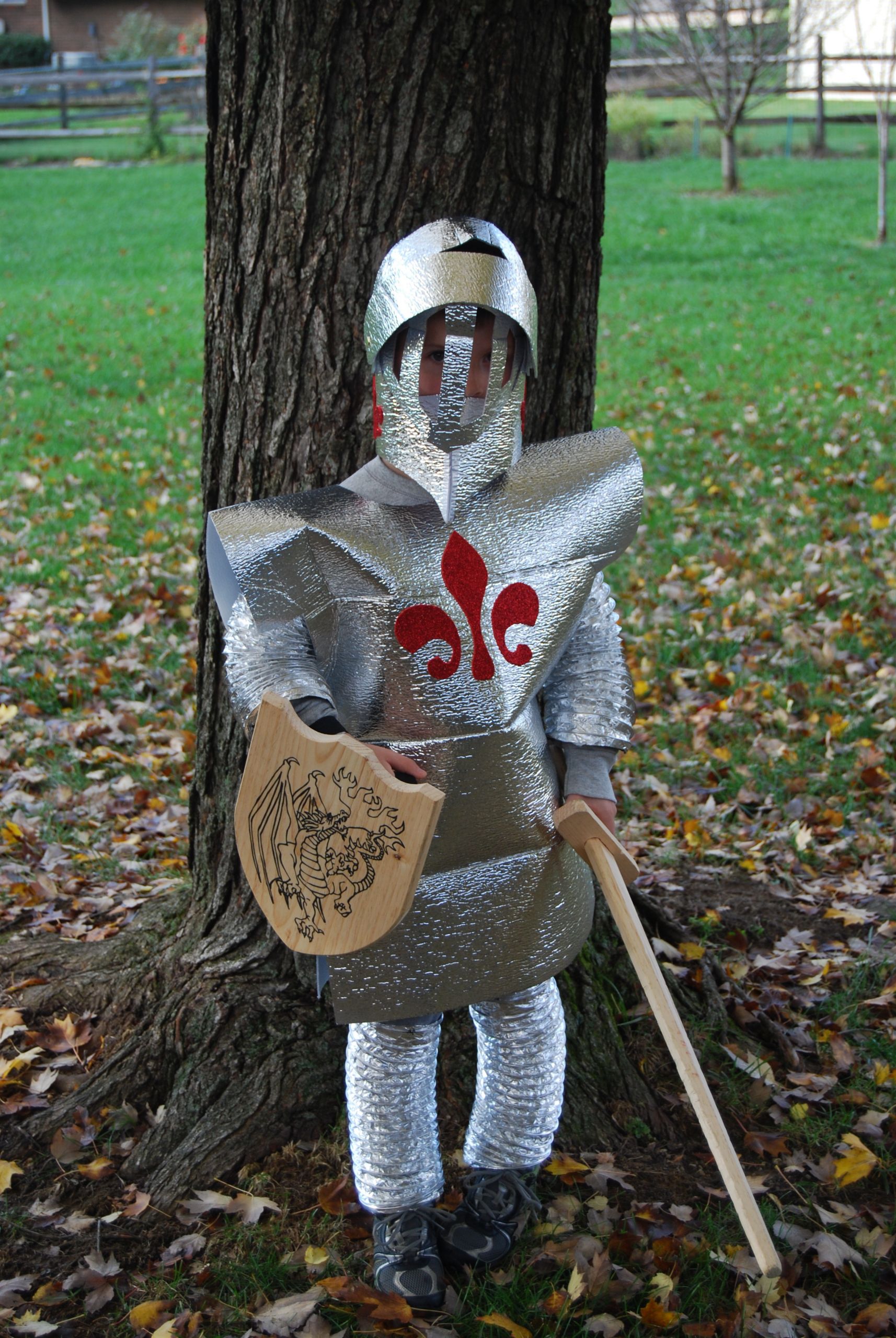 Knight Costume DIY
 25 Creative DIY Costumes for Boys