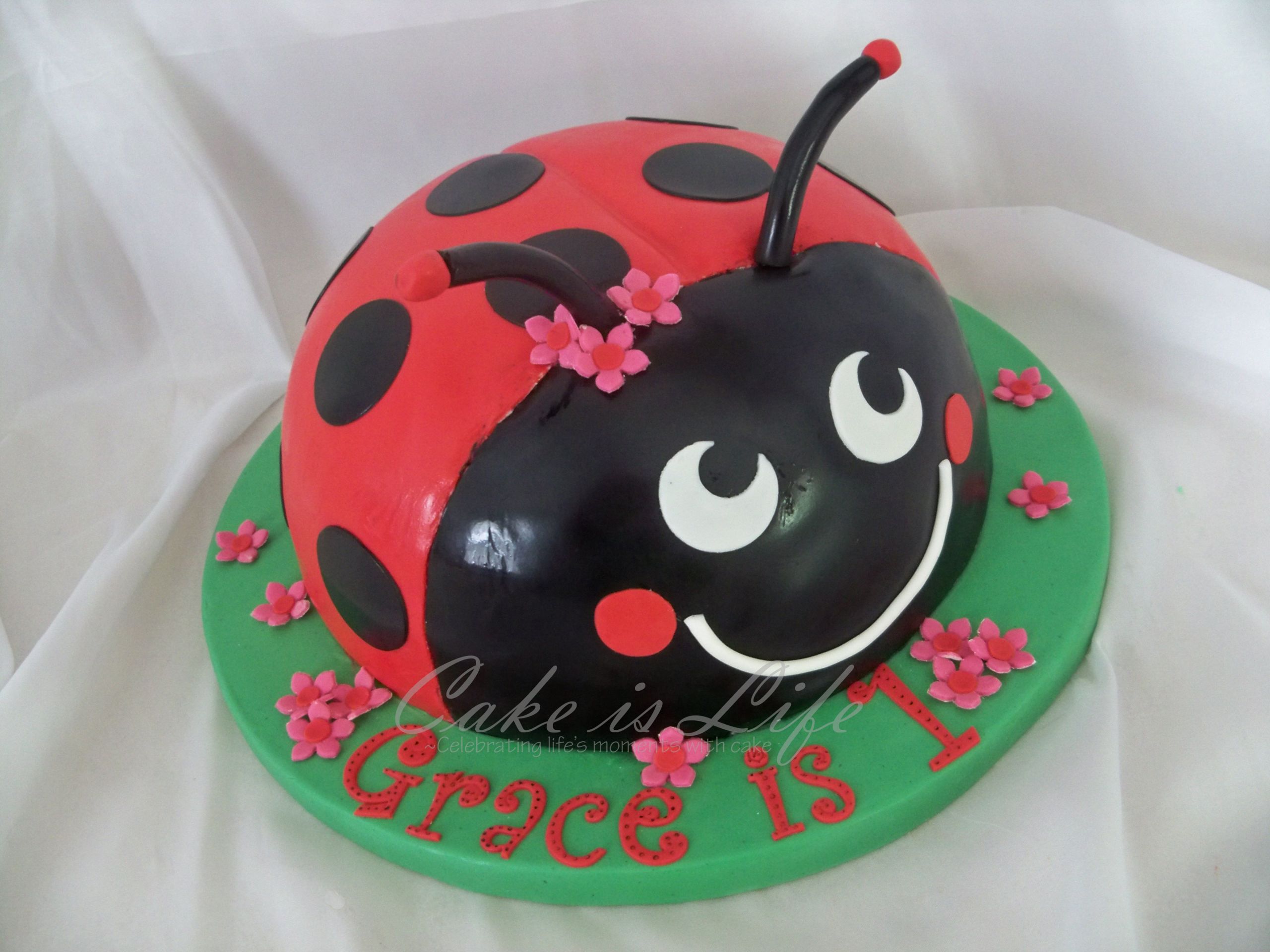 Ladybug Birthday Cakes
 Ladybug Birthday Cake