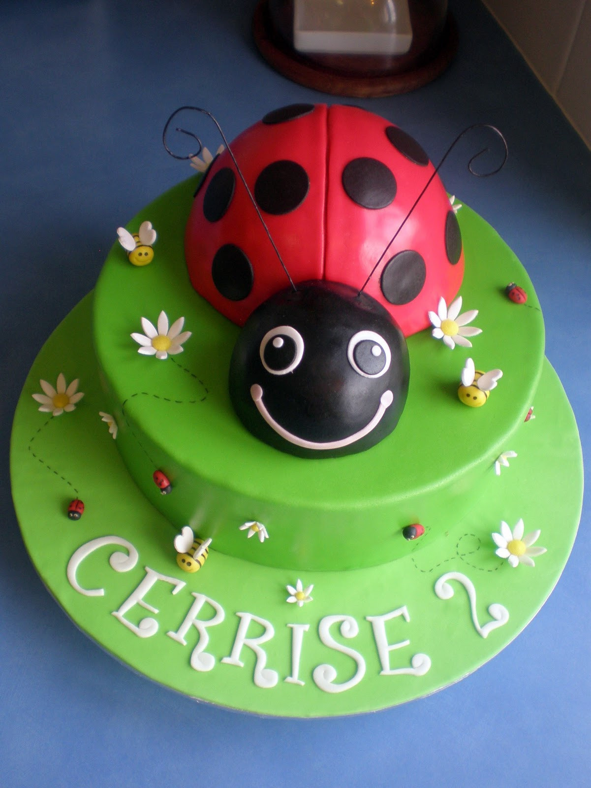 Ladybug Birthday Cakes
 Sugar Siren Cakes Mackay Ladybug Birthday Cake