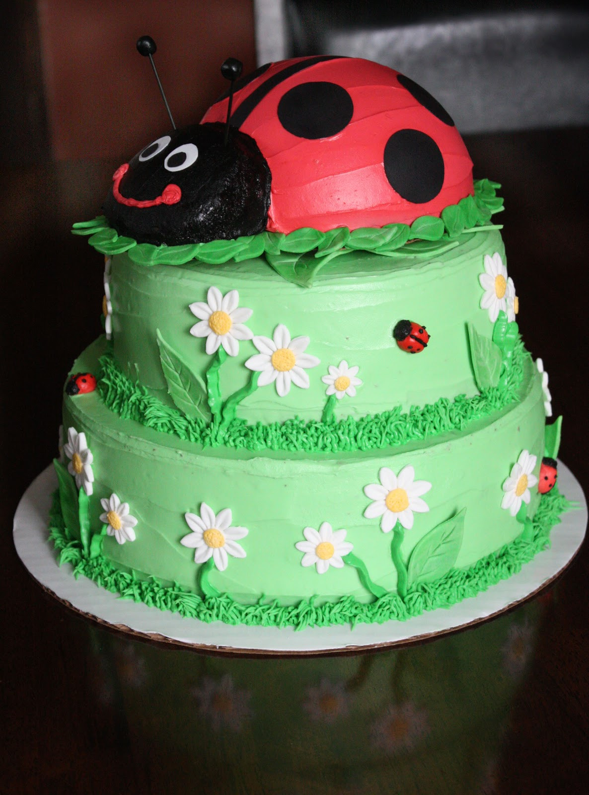 Ladybug Birthday Cakes
 Straight to Cake Ladybug 1st Birthday