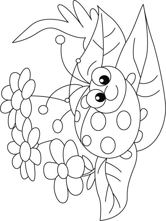 Ladybug Coloring Pages For Kids
 Pinterest