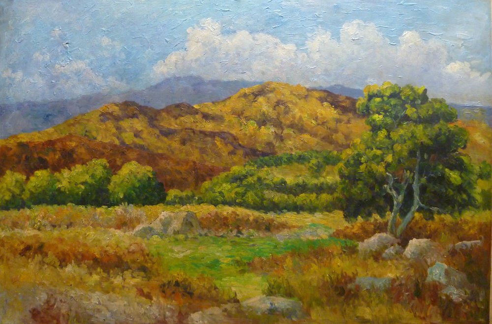 Landscape Painting Images
 Wyoming Mountain Valley Country Trees Landscape Original