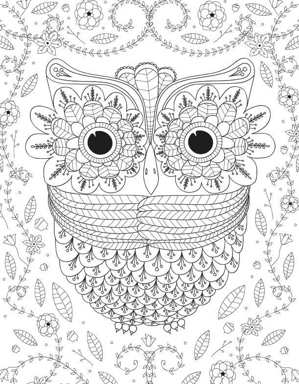 Large Coloring Pages For Adults
 Big Eyed Owl Adult Coloring Page