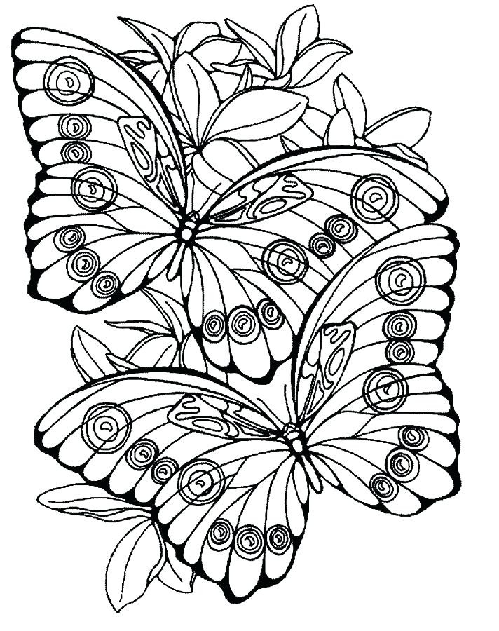 Large Coloring Pages For Adults
 Print Coloring Pages For Adults at GetColorings