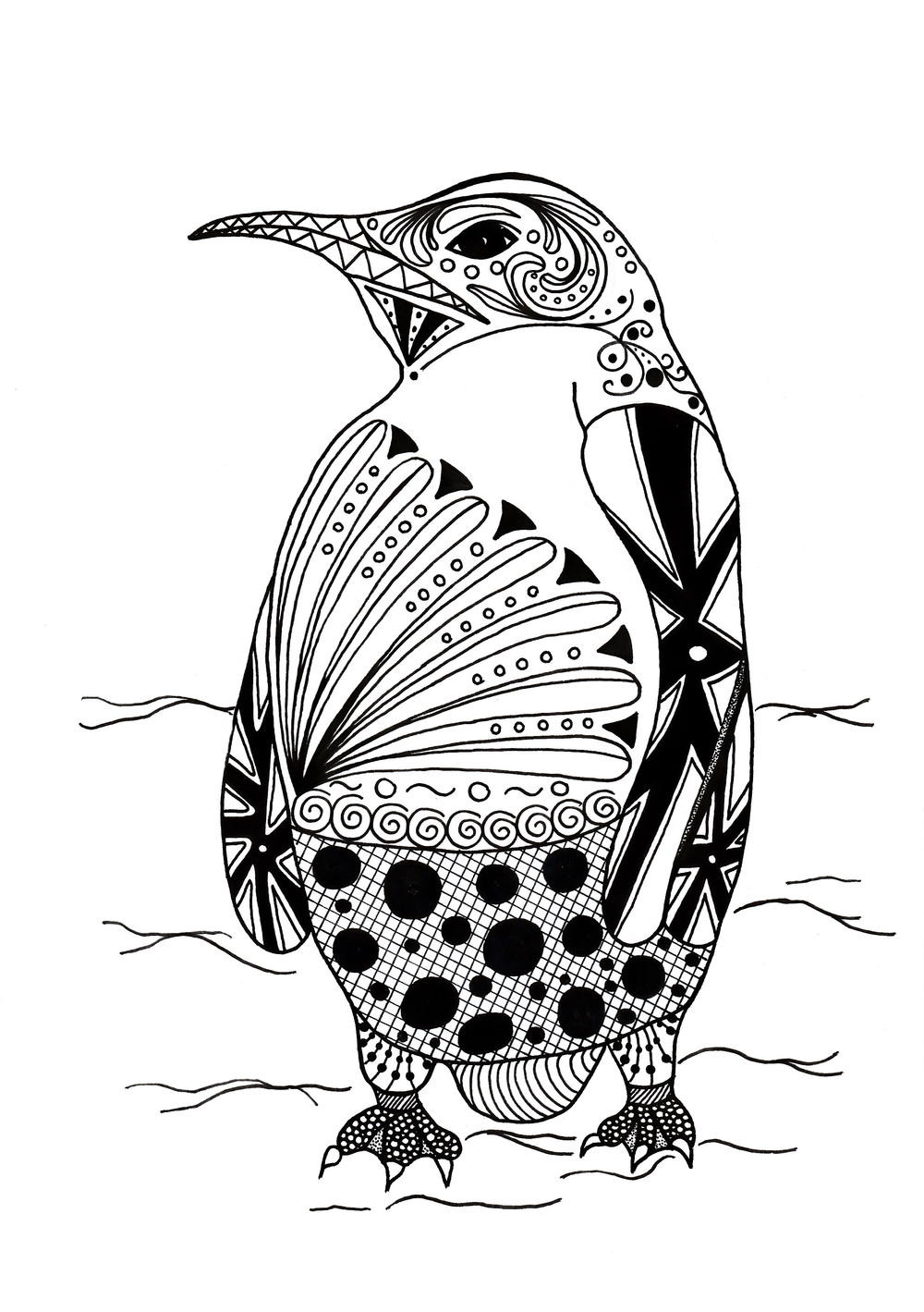 Large Coloring Pages For Adults
 Intricate Penguin Adult Coloring Page