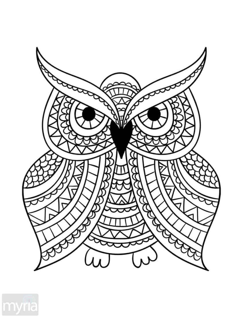 Large Coloring Pages For Adults
 Print Adult Coloring Book 1 Big Beautiful