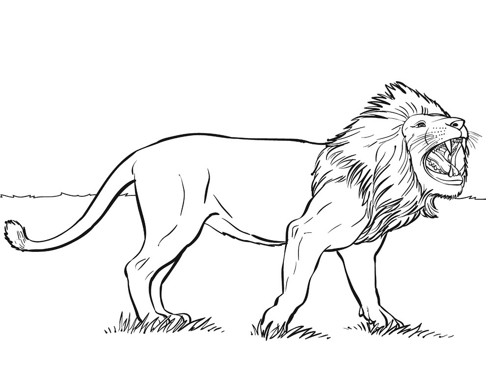 Lion Coloring Pages For Toddlers
 Lion Coloring Pages Kidsuki