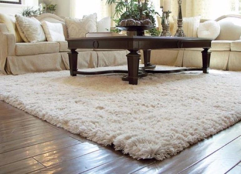 Living Room Area Rug Ideas
 Rugs as a Main Home Decor for your Living Room