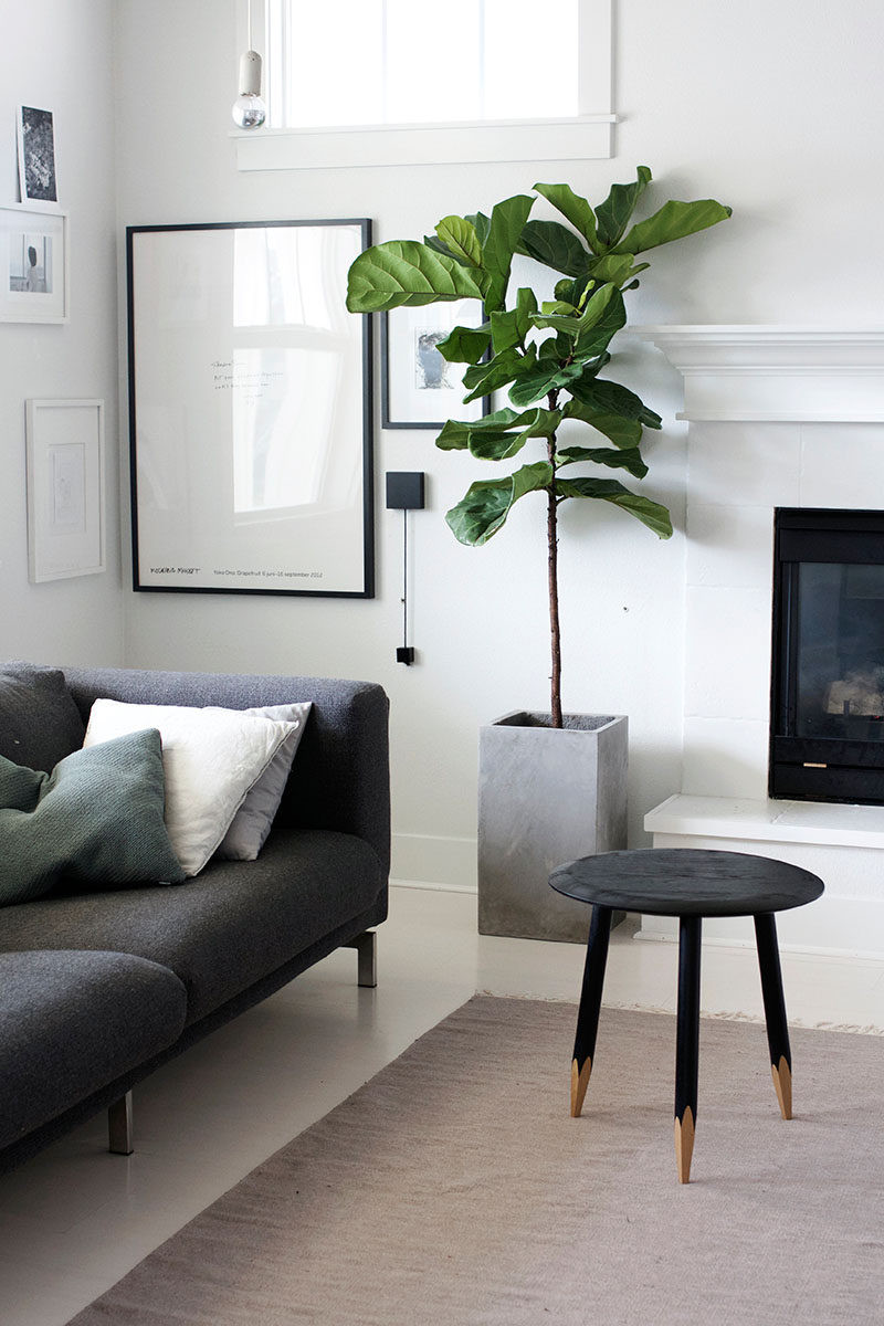 Living Room Plant Ideas
 7 Living Room Ideas For Designing A Bud