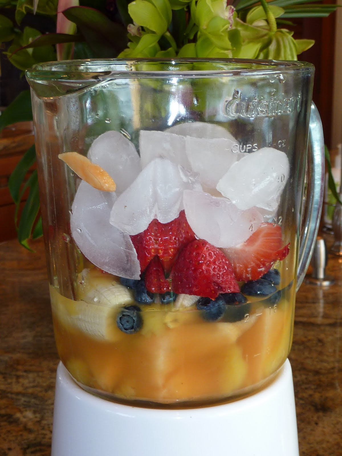 Lo Cal Smoothies
 Cooking from a High Plains Garden TROPICAL SMOOTHIES EASY