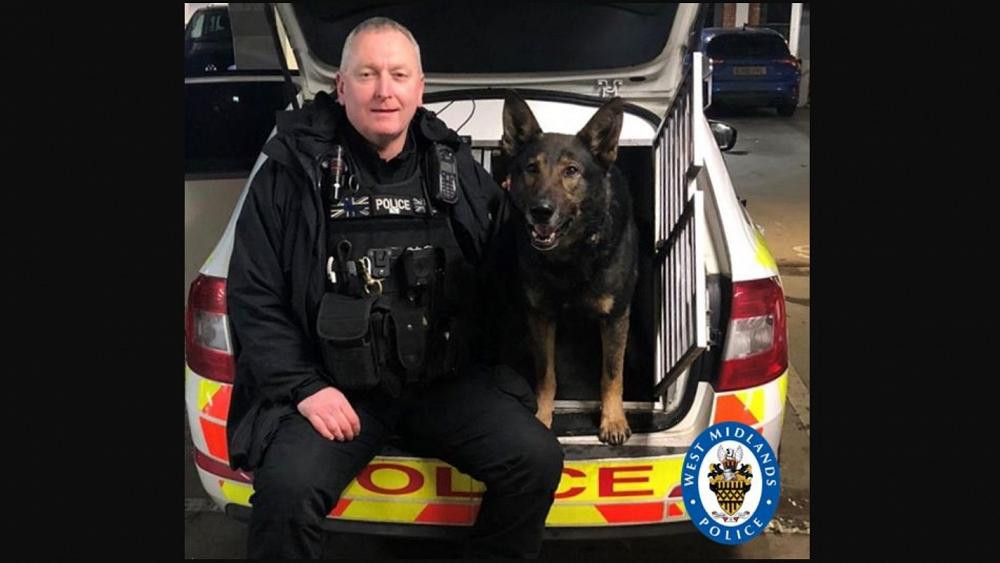 Lost Wedding Ring
 Police dog saves hugely embarrassed husband who lost