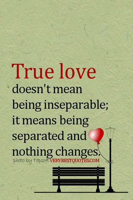 Love Means Quotes
 True Love Quotes QuotesGram