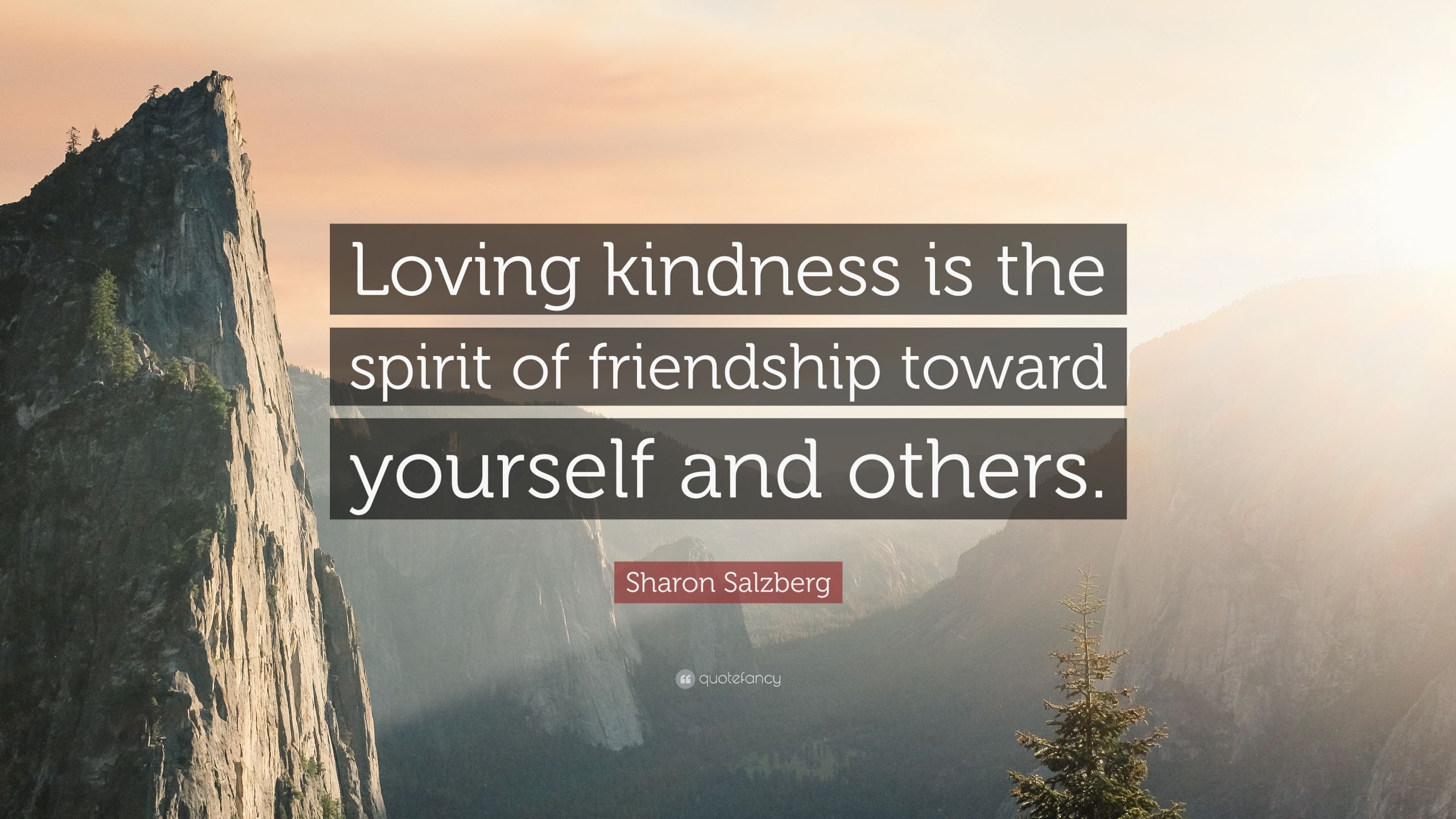 Loving Kindness Quotes
 Sharon Salzberg Quotes 100 wallpapers Quotefancy