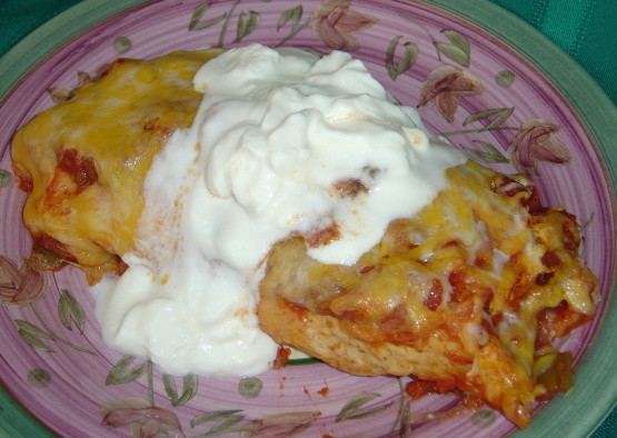 Low Fat Enchiladas
 Low Fat Chicken Enchiladas With High Fat Taste Recipe