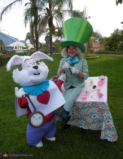 Mad Hatter Tea Party Costume Ideas
 Mad Hatter & White Rabbit Costumes