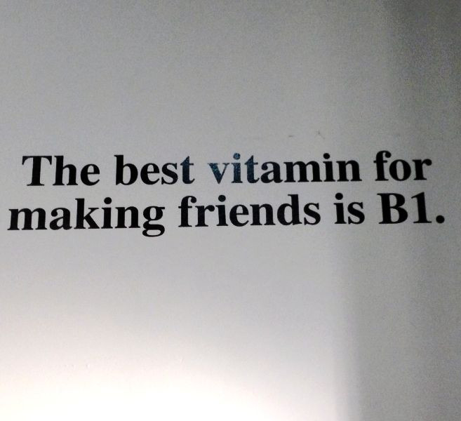 Make Friendship Quotes
 "The best vitamin for making friends is B1 "