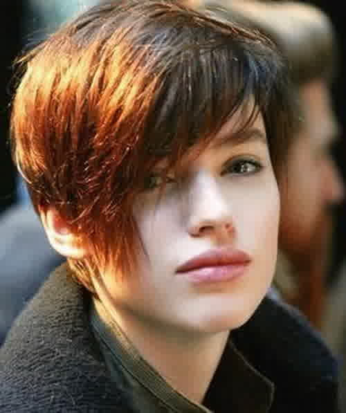 Masculine Haircuts For Females
 Short Hairstyles Light Masculine Hairstyle For Women 2015