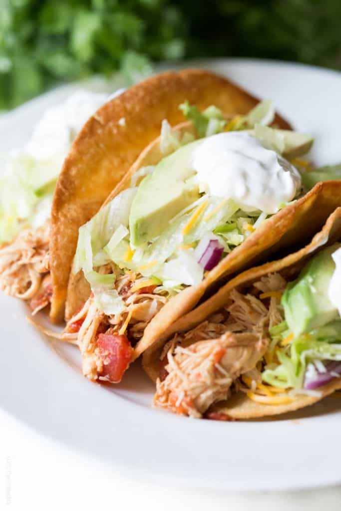 Mexican Shredded Chicken Tacos
 Slow Cooker Mexican Shredded Chicken Tacos Tastes Lovely