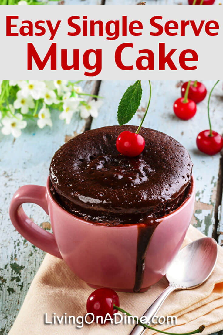 Microwave Mug Cake Recipes
 Quick and Easy Single Serve Mug Cake Recipe Living on a