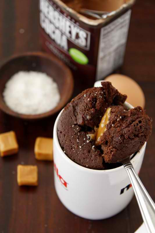 Microwave Mug Cake Recipes
 Microwave Chocolate Cake In A Mug Recipe — Dishmaps