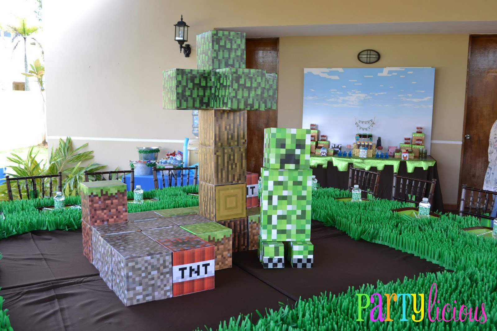 Minecraft Birthday Decorations
 Minecraft Party — All for the Boys