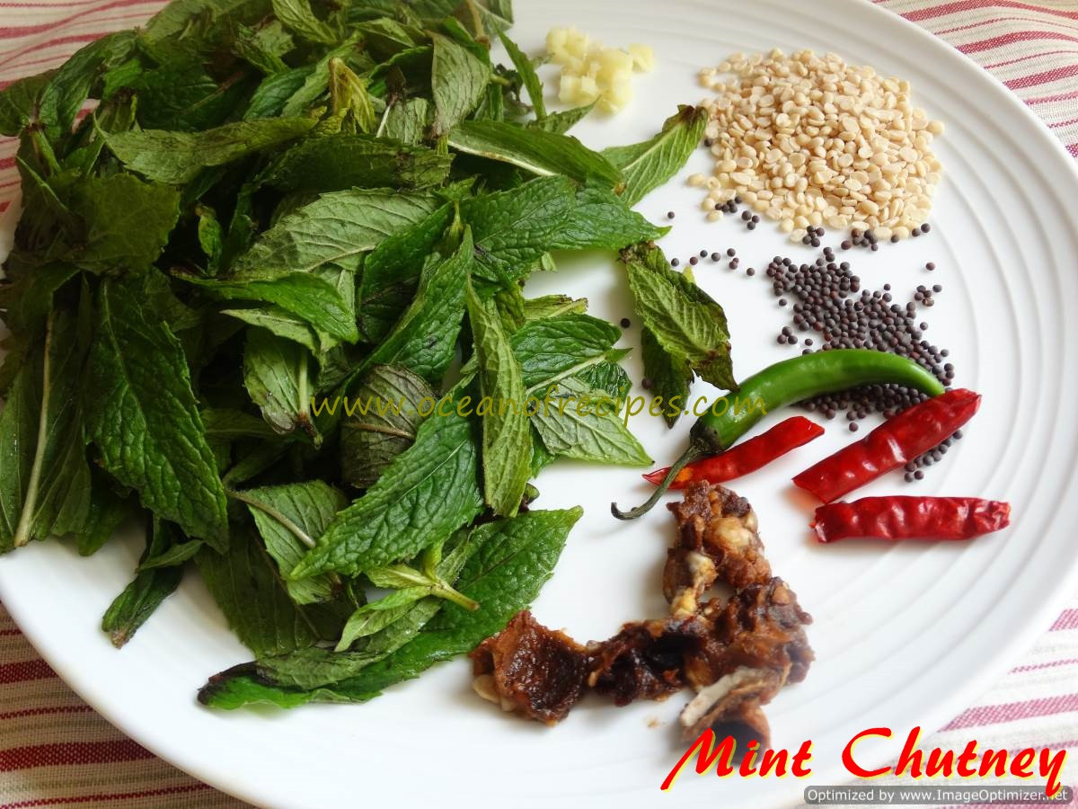 Mint Recipes Indian
 South Indian style mint chutney