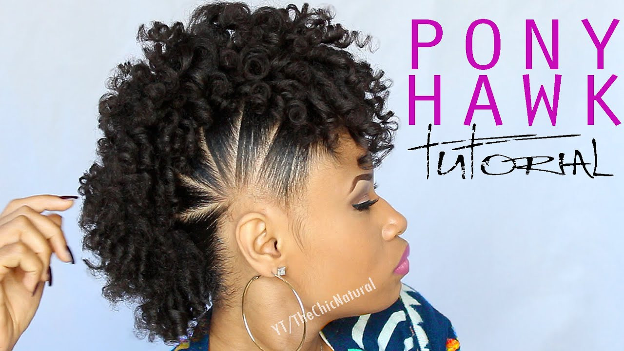Mohawk Hairstyles For Natural Hair
 THE PONY HAWK