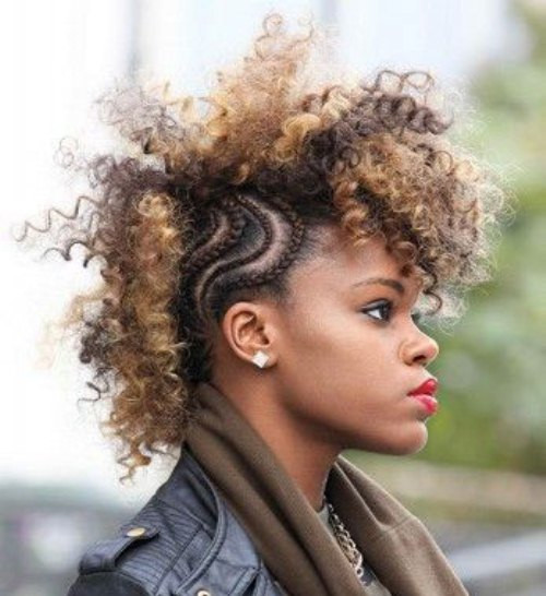 Mohawk Hairstyles For Natural Hair
 20 Fancy Natural Hair Mohawk Hairstyles