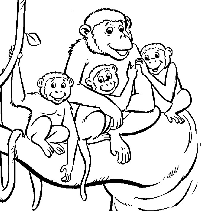 Monkey Coloring Pages For Kids
 monkey coloring pages free for kids 1