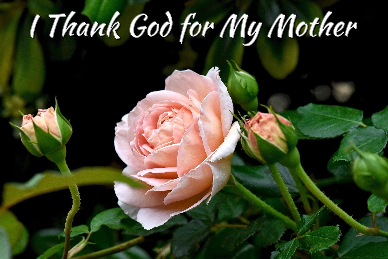Mother Day Bible Quotes
 Best Bible Quotes Mothers Day QuotesGram