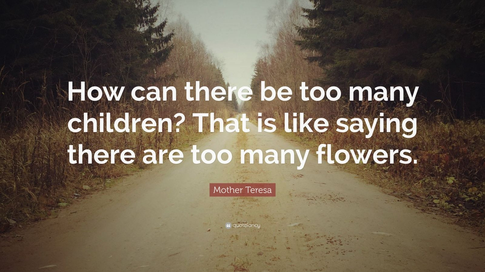 Mother Teresa Quotes About Children
 Mother Teresa Quote “How can there be too many children