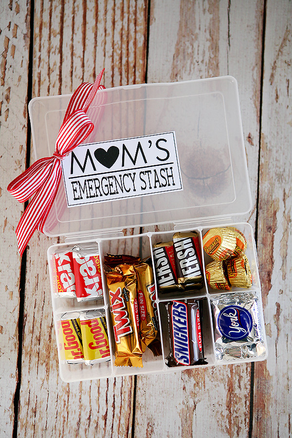 Mothers Day Gift Ideas Pinterest
 Homemade Mother s Day Gifts Crazy Little Projects