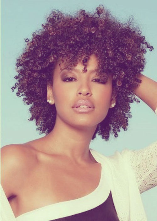 Natural Haircuts For Black Women
 African American Hairstyles Trends and Ideas Hairstyles