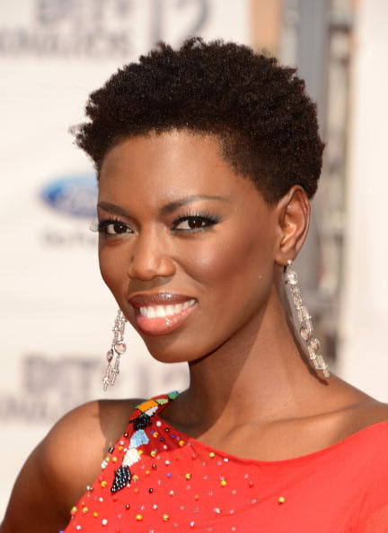 Natural Hairstyles For Black Women With Short Hair
 Short Natural Hairstyles