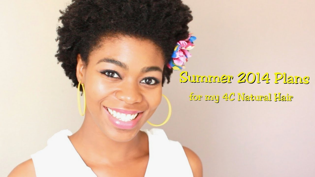 Natural Hairstyles For Swimming
 Summer 2014 Plans For My 4C Natural Hair styles