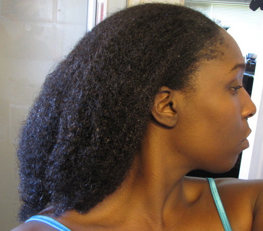 Natural Wet Hairstyles
 AFRICANEXPORT S BLOG WET NATURAL HAIR BUN