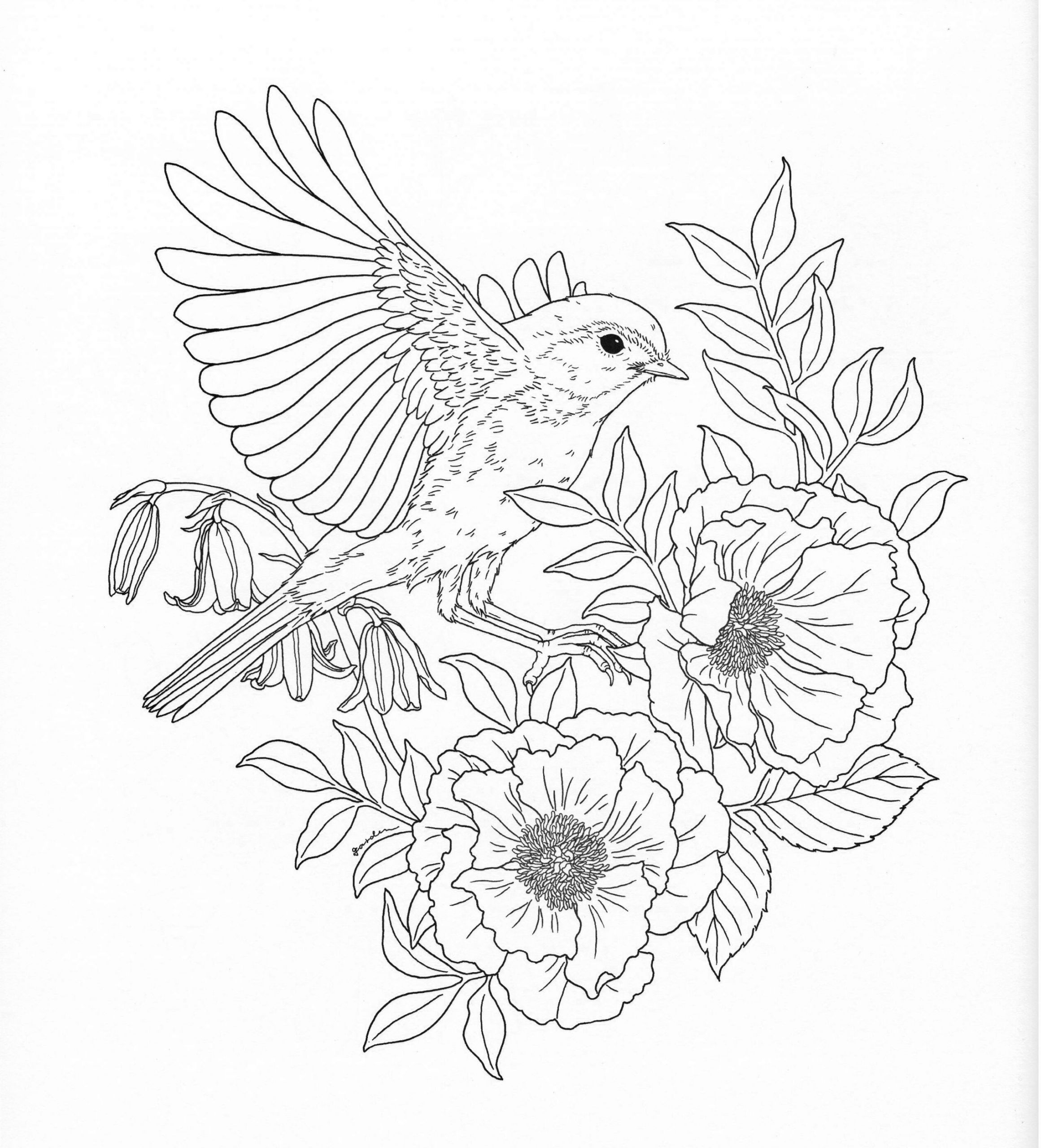 Nature Coloring Pages For Adults
 Harmony Nature Adult Coloring book Pg 26