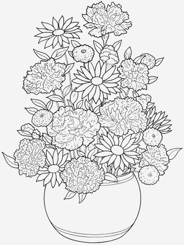 Nature Coloring Pages For Adults
 Nature Coloring Pages